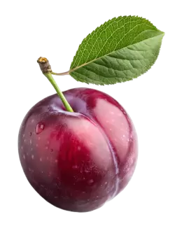 Imagen PNG para descargar